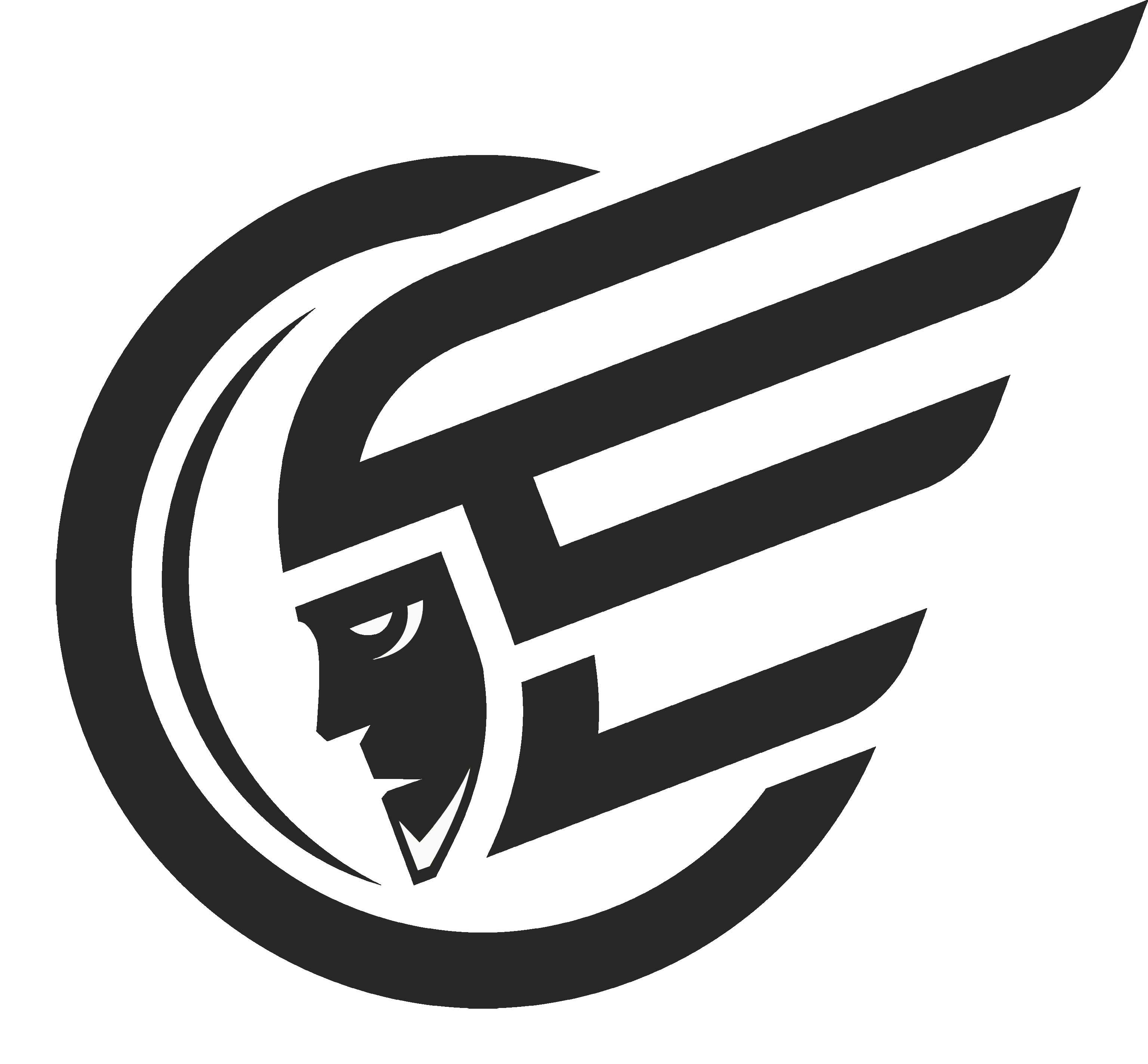 Logo Standard Dunkel